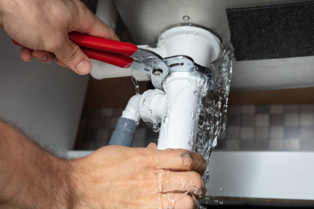 Best Local water damage restoration  in Okeechobee, FL
