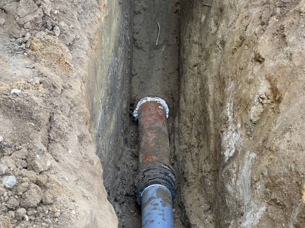 Best Emergency water extraction  in Okeechobee, FL