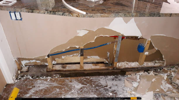 Best Basement water damage restoration  in Okeechobee, FL