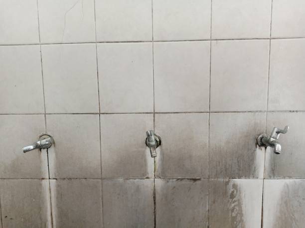 Best Water damage restoration near me  in Okeechobee, FL
