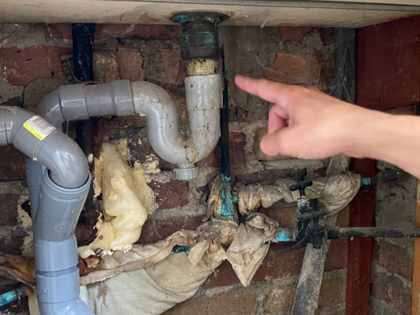 Best Professional water damage repair  in Okeechobee, FL
