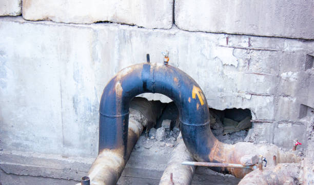 Best Flood restoration services  in Okeechobee, FL