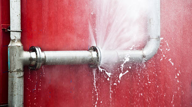 Best Flood damage cleanup  in Okeechobee, FL